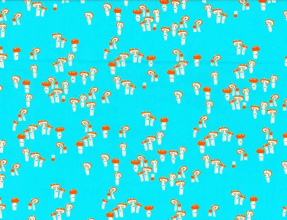 Fly Amanita Sky