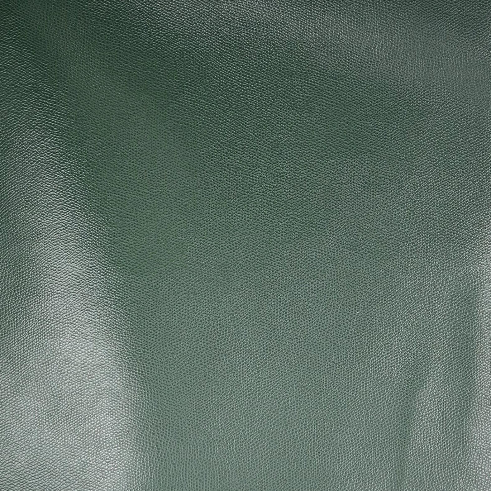 Payson – Forest (sta Kleen)