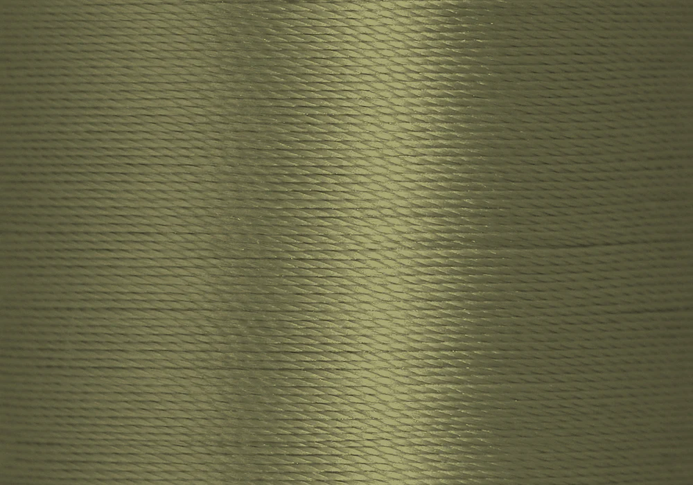 Winter Moss 214