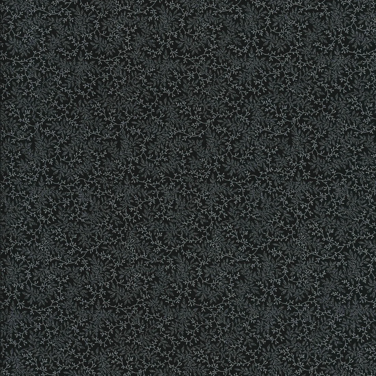 Wide Delicate Vines Black - Quilt Back – 100% Quilting Cotton Fabric by the Yard