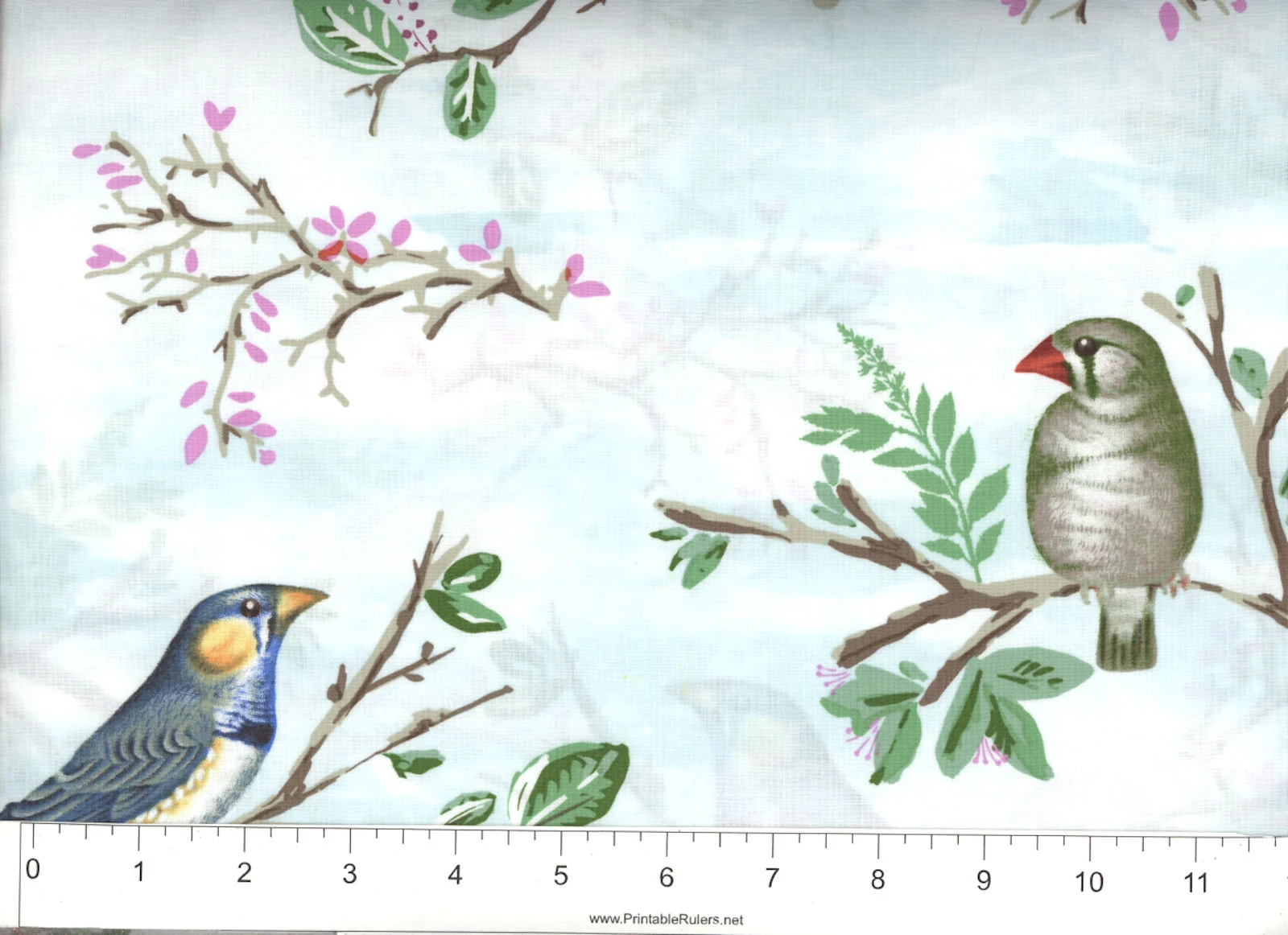 45"Michael Miller Aviary