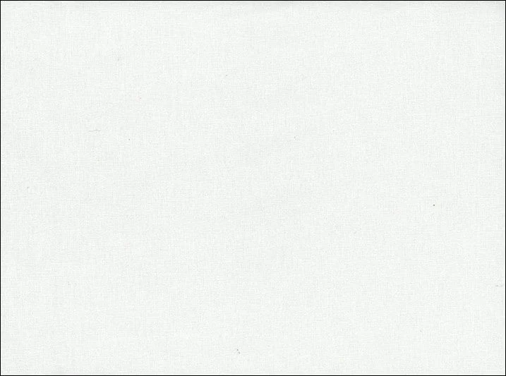 Solid Toweling White
