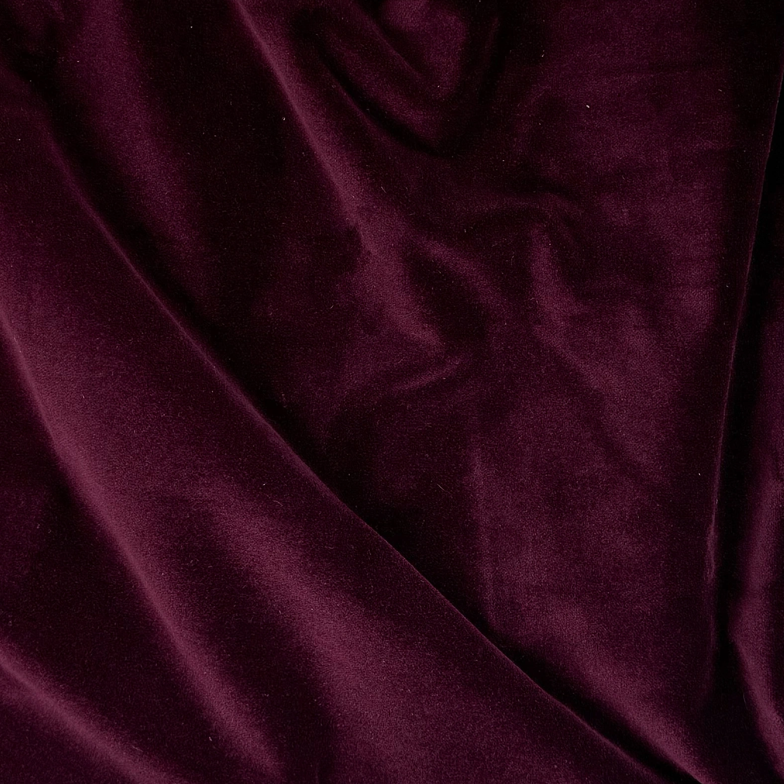 Cotton Velvet PLUM232