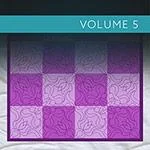Longarm Collection-Volume 5
