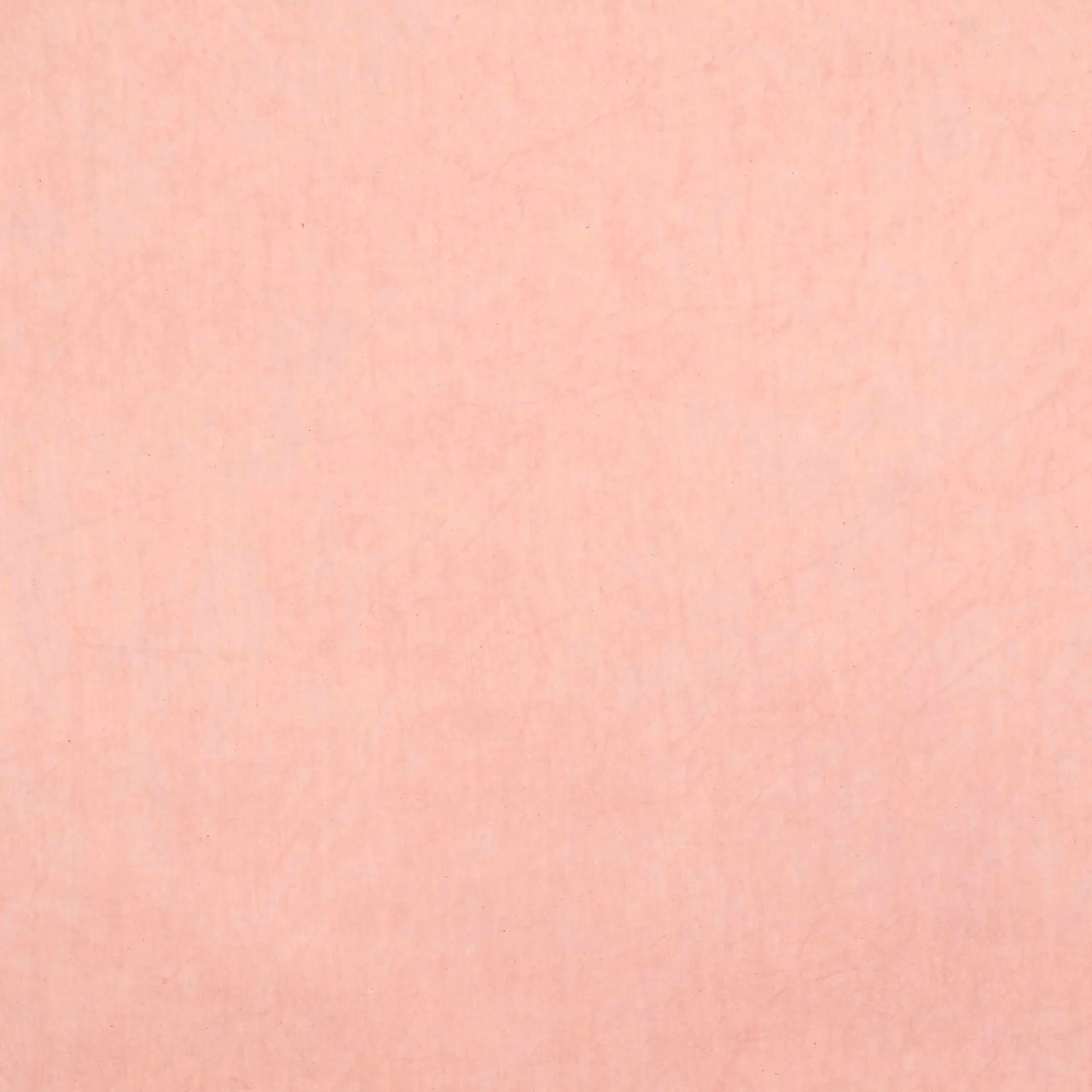 Desert Garden: Peach Beige