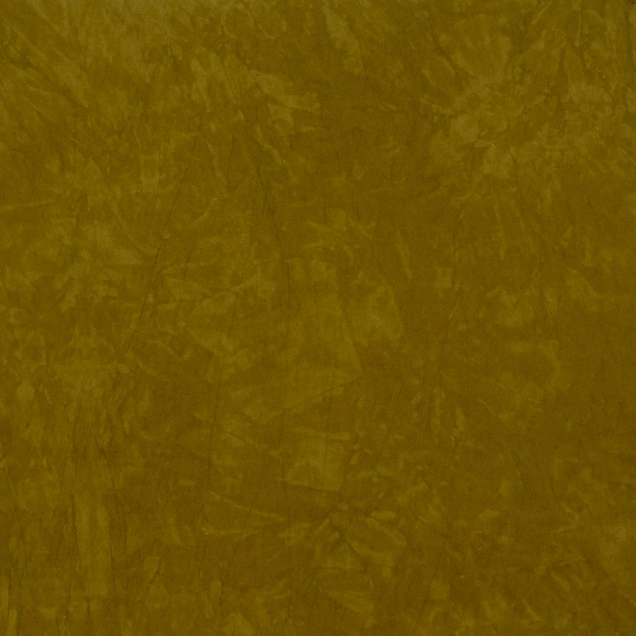 Desert Garden: Sepia
