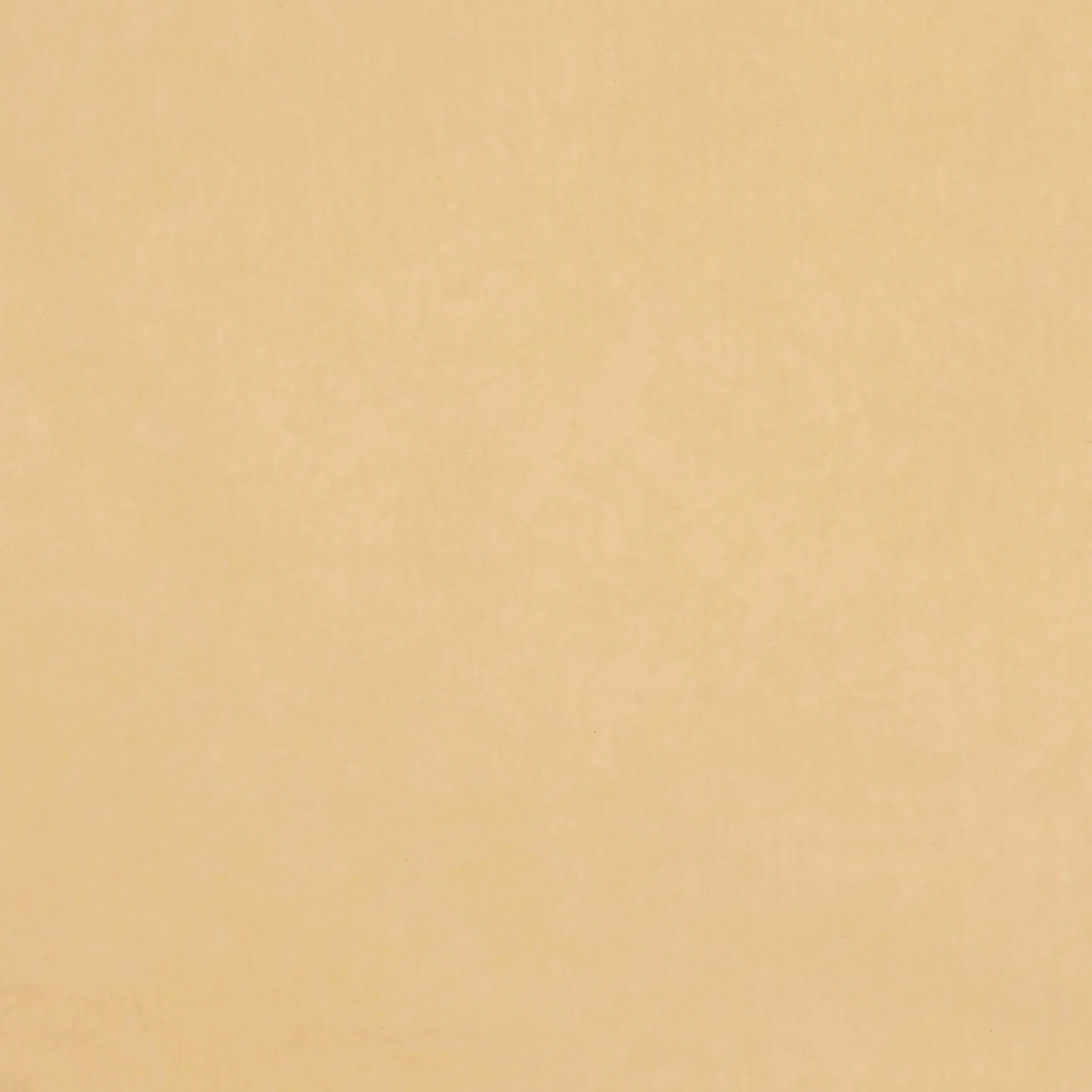 Desert Garden: Sheepskin