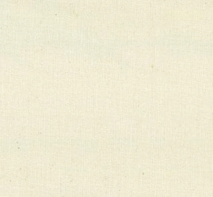 Moda Fabric Calico 60 Count 120 Inches Wide Natural