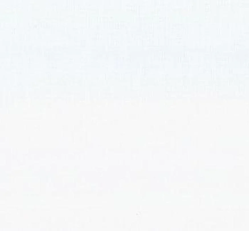 Moda Fabric Calico 60 Count 120 Inches Wide White