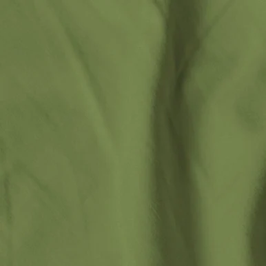 QT Fabrics - Shades - Olive